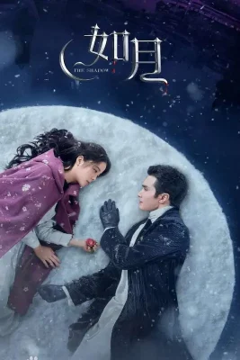 Snowfall-1-607x999