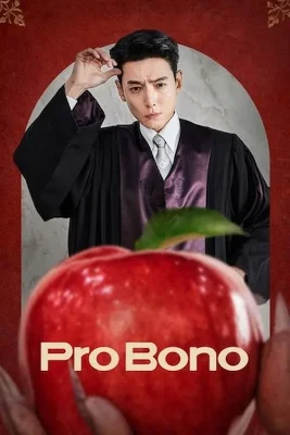 pro bono