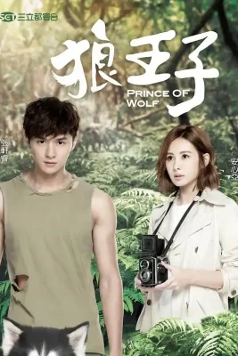wolf